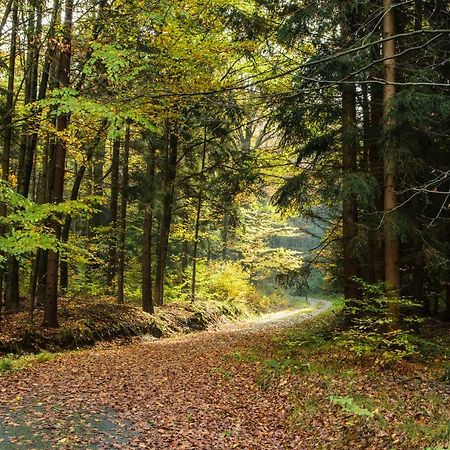 Weinberghaus Prossen Βίλα Bad Schandau Εξωτερικό φωτογραφία